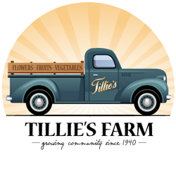 Tillie's Farm website design peabody ma